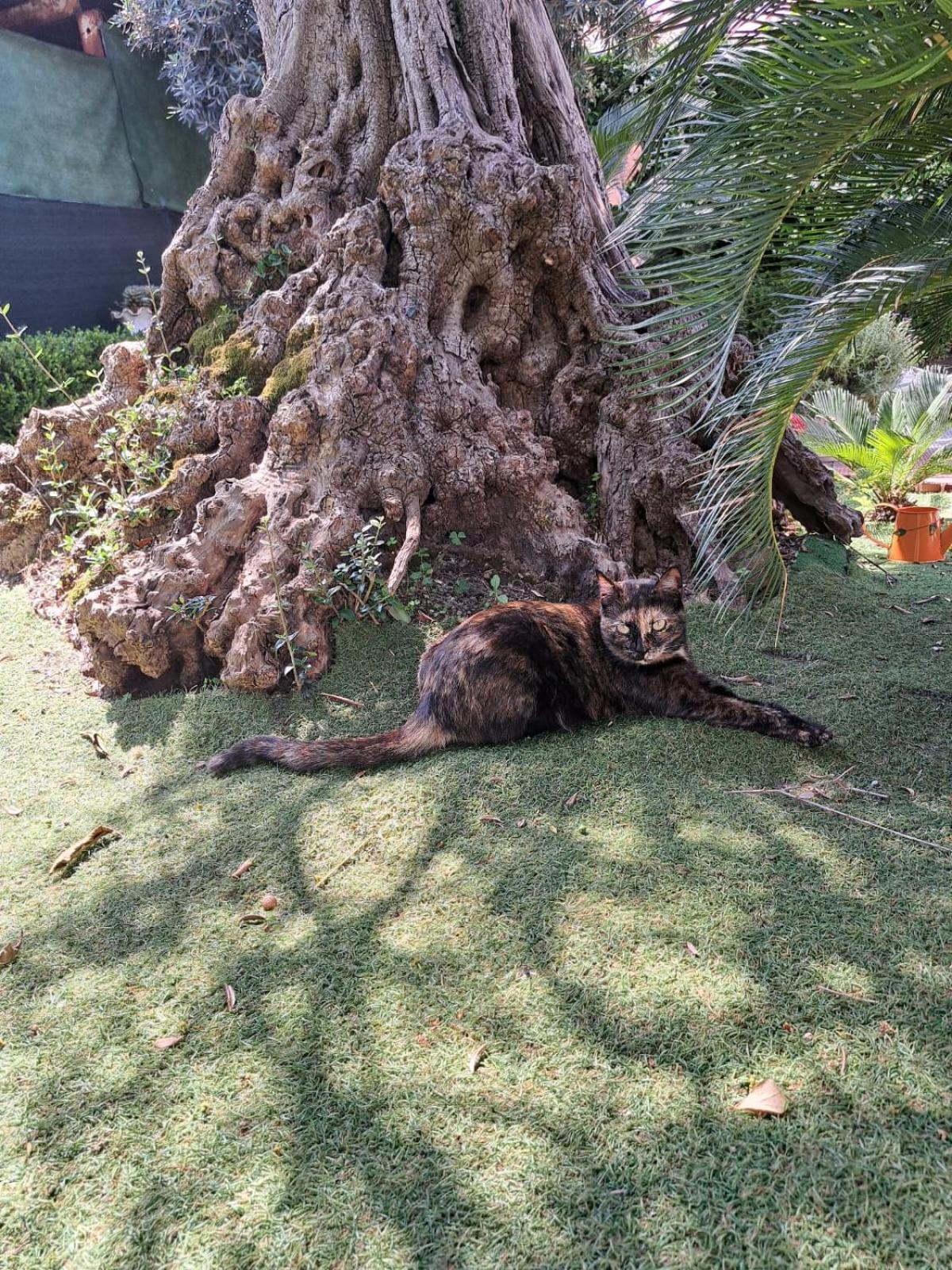 Casa Vacanza Country Holiday Santa Maria La Carita ภายนอก รูปภาพ
